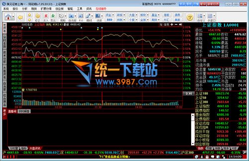 国元证券领航下载