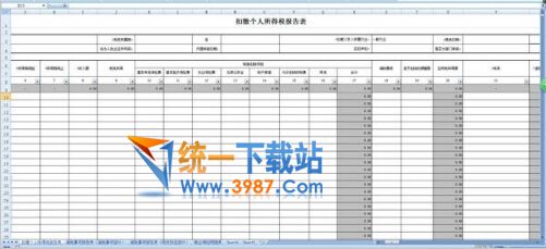 金税三期个人所得税申报表下载