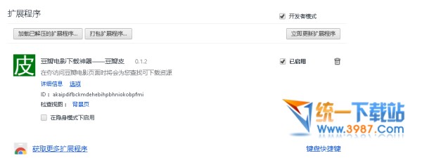 豆瓣皮插件下载