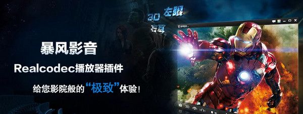 RealCodec播放器插件官方下载
