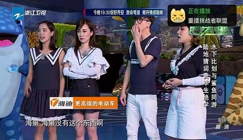 直播狗TV版下载