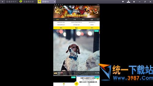 黄蜂TV电脑版下载