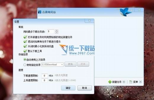 迅雷精简版官方下载