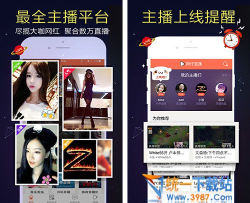 冰狗直播电脑版下载