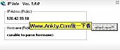 IP Info(查看您的公共IP地址和公共主机) 1.0.0英文绿色免费版