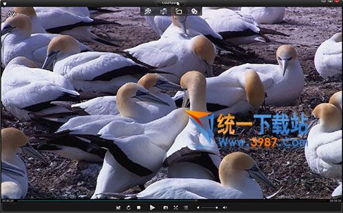 蓝光电影播放器下载2016