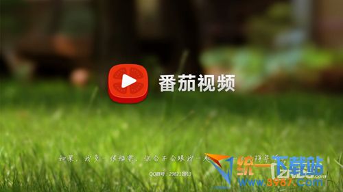 番茄视频tv版下载