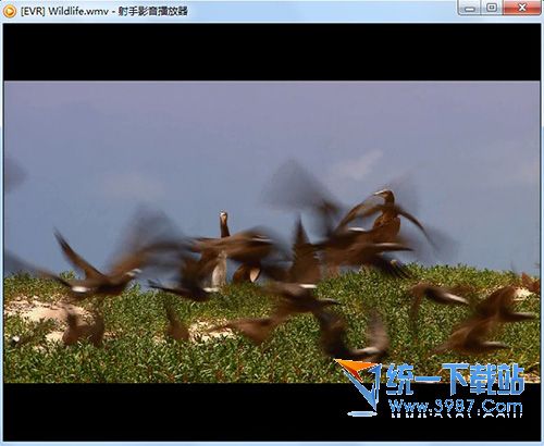 射手播放器(Splayer) v3.7.2437 官方安装版