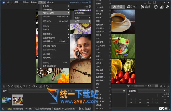 ACDSee Ultimate 11.0下载