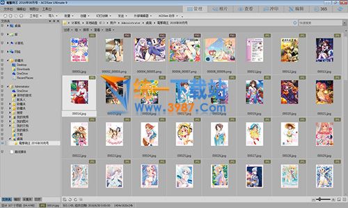 ACDSee Ultimate 10.0精简版下载