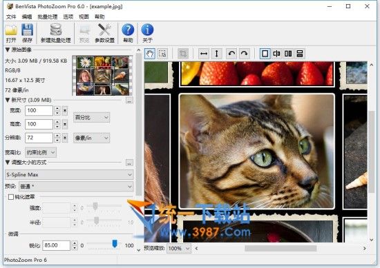 photozoom pro 6破解版