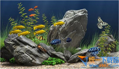梦幻水族馆中文版