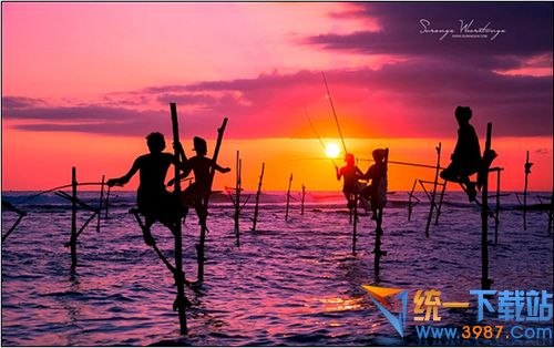 斯里兰卡主题下载