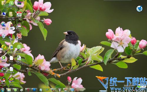 win7/win8.1主题下载：《大鸟》《小鸟》