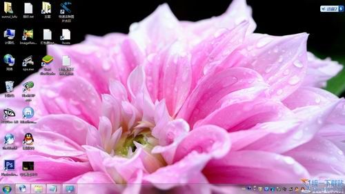 Win7/Win8主题下载：花之狂想电脑主题
