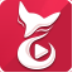 秀色直播电脑版 v8.1.7 官方PC版
