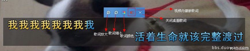 歪歪伴侣下载