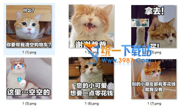 双十一到了表情包下载