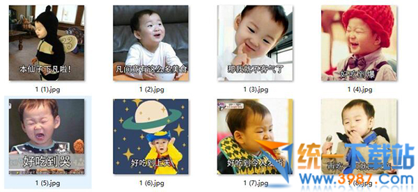 本胖飞不动了图片表情下载