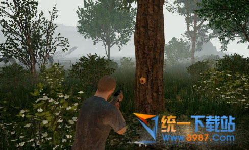 绝地求生无后除草晴天补丁下载
