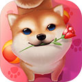 小汪汪电脑版 v9.0 官方最新版