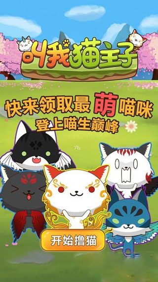 叫我猫主子安卓版