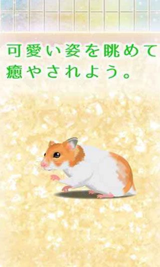治愈仓鼠养成汉化版
