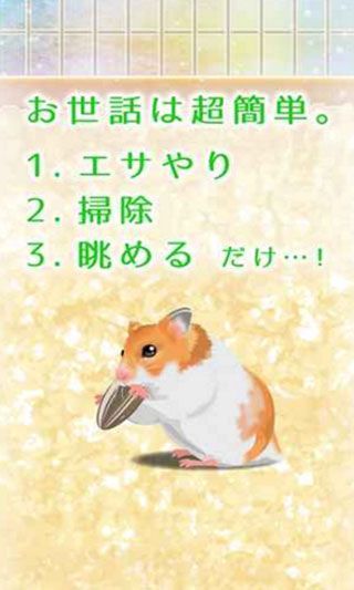 治愈仓鼠养成汉化版