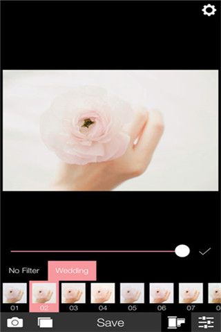 Analog Wedding安卓版