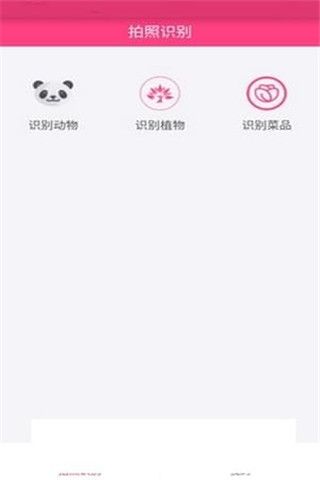 拍照识物安卓版