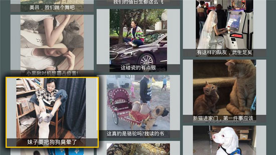 趣图精选tv版