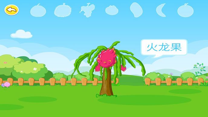 宝宝学水果TV版