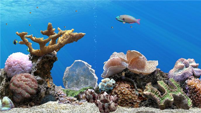 梦幻水族TV版
