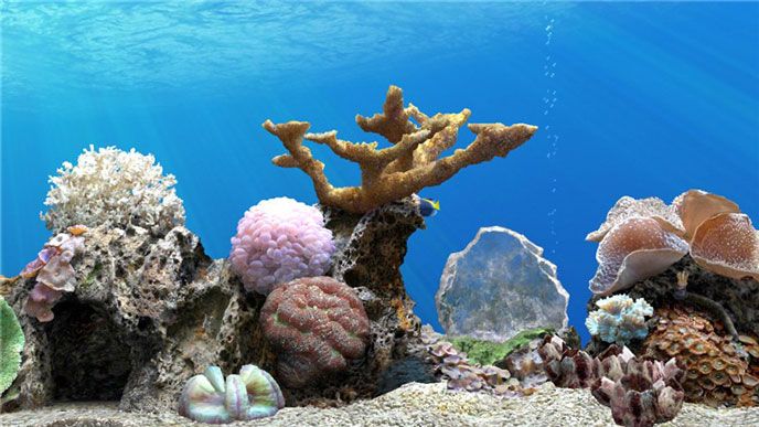 梦幻水族TV版