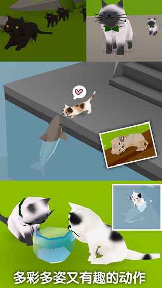 猫猫与鲨鱼iOS版