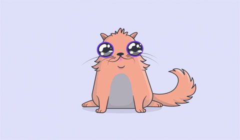 CryptoKitties苹果版