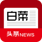 白菜头条安卓版