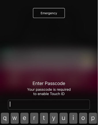iOS11怎么暂时禁用Touch ID iOS11新功能介绍