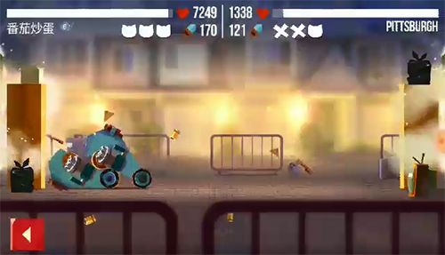 为了不看到这只喵 我屏蔽了所有好友