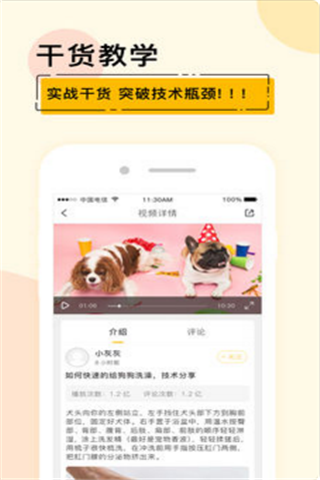宠才大学iOS版