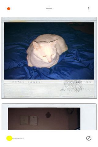 PLOT相机iOS版