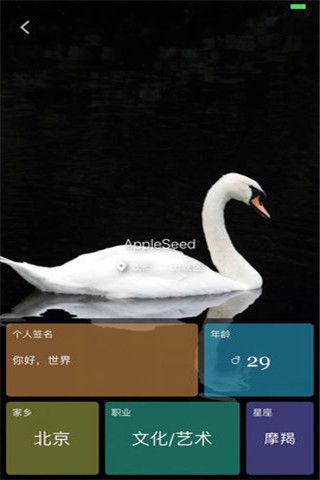 四肤iOS版
