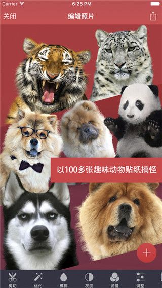 Pixomatic免费版