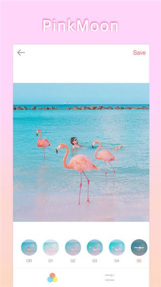 PinkMoon免费版