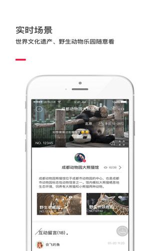 远方live最新版